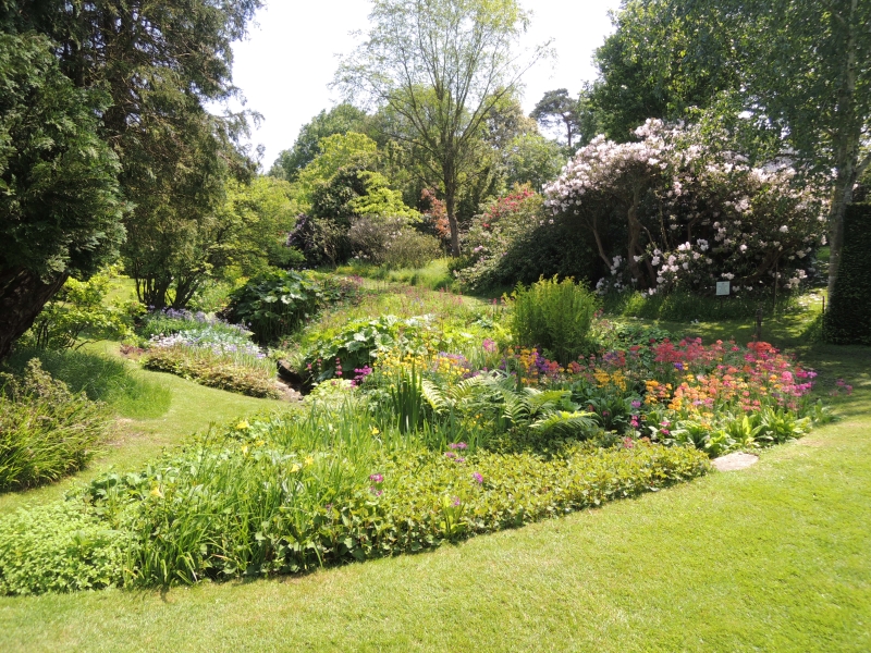 The Place for Plants, East Bergholt Place Garden